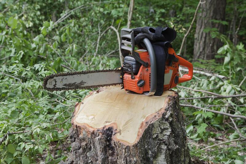 chainsaw in the tree stump